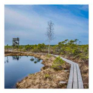 Holzweg über Sumpf mit Turm Poster