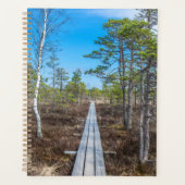 Holzweg über Sumpf Planer (Vorderseite)