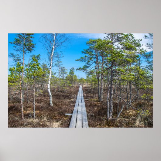 Holzweg über Sumpf Poster (Vorne)