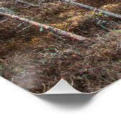 Holzweg über Sumpf Poster (Ecke)