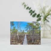 Holzweg über Sumpf Postkarte (Stehend Vorderseite)