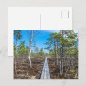Holzweg über Sumpf Postkarte (Vorne/Hinten)