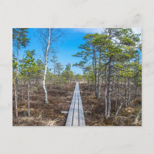 Holzweg über Sumpf Postkarte (Vorderseite)