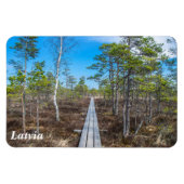 Holzweg über Sumpfmagnet Magnet (Horizontal)