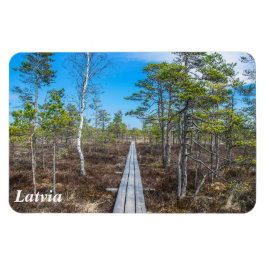 Holzweg über Sumpfmagnet Magnet