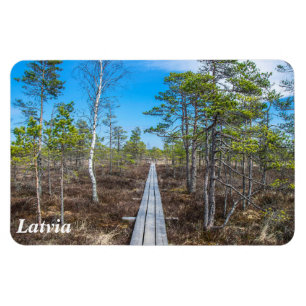 Holzweg über Sumpfmagnet Magnet