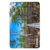 Holzweg über Sumpfmagnet Magnet (Vertikal)