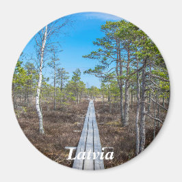 Holzweg über Sumpfmagnet Magnet