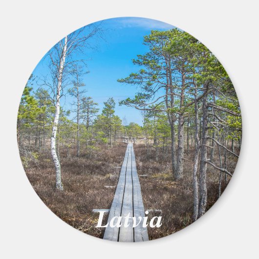 Holzweg über Sumpfmagnet Magnet (Vorne)