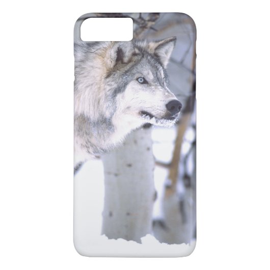 Holzwolf, Canis lupus, Film Animal Utah Case-Mate iPhone Hülle (Rückseite)