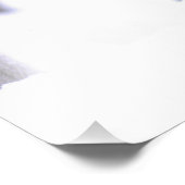 Holzwolf, Canis lupus, Film Animal Utah Fotodruck (Ecke)