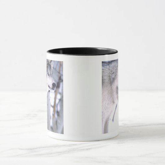 Holzwolf, Canis lupus, Film Animal Utah Tasse (Zentrum)