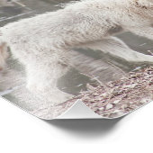 Holzwolf geht neben Wasser Fotodruck (Ecke)