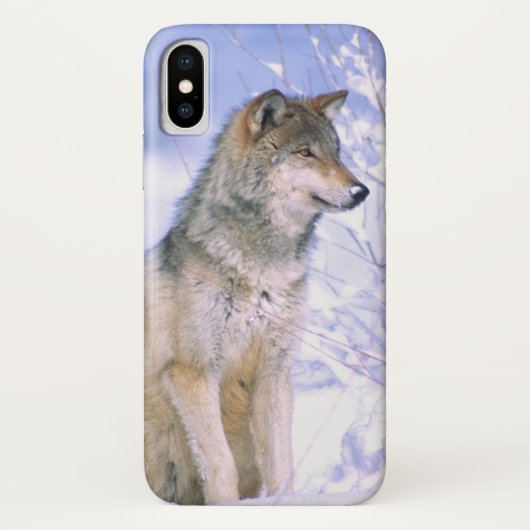 Holzwolf im Schnee, Canis lupus, Case-Mate iPhone Hülle (Rückseite)