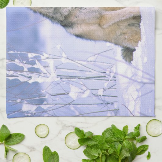 Holzwolf im Schnee, Canis lupus, Handtuch (Gefaltet)