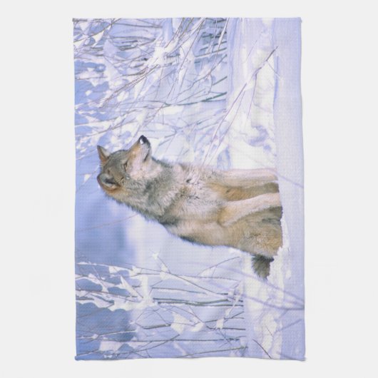 Holzwolf im Schnee, Canis lupus, Handtuch (Vertikal)