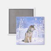 Holzwolf im Schnee, Canis lupus, Magnet (Vorderseite/Rückseite)