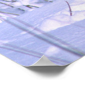 Holzwolf im Schnee, Canis lupus, Poster (Ecke)