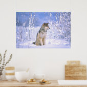 Holzwolf im Schnee, Canis lupus, Poster (Küche)