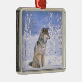Holzwolf im Schnee, Canis lupus, Silbernes Ornament (Rechts)