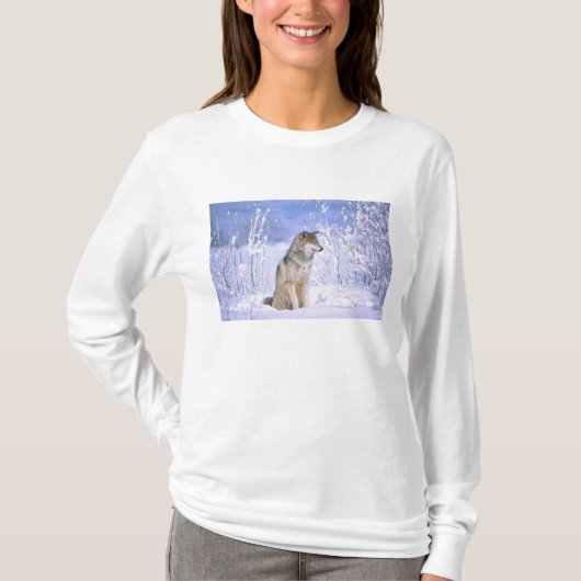 Holzwolf im Schnee, Canis lupus, T-Shirt (Vorderseite)