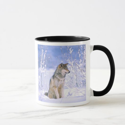 Holzwolf im Schnee, Canis lupus, Tasse (Rechts)