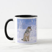 Holzwolf im Schnee, Canis lupus, Tasse (Links)