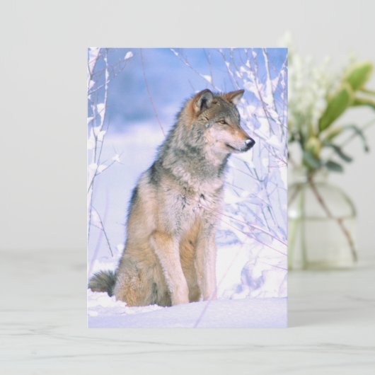 Holzwolf im Schnee Feiertagskarte (Stehend Vorderseite)