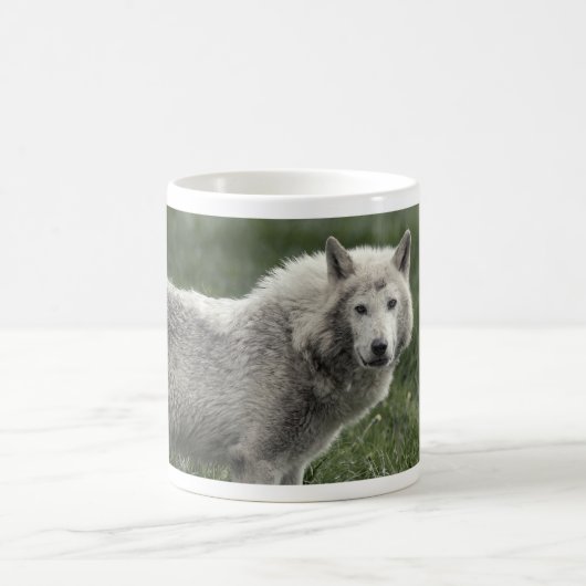 Holzwolf Kaffeetasse (Mittel)