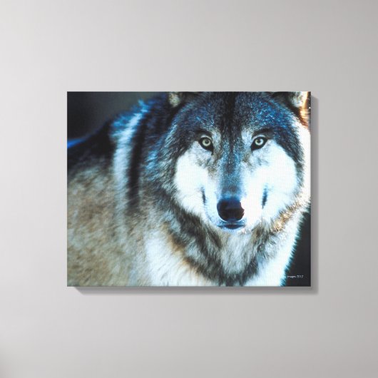 Holzwolf Leinwanddruck (Vorderseite)