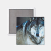 Holzwolf Magnet (Vorderseite/Rückseite)