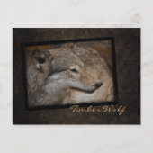 Holzwolf-Postkarte Postkarte (Vorderseite)