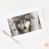 Holzwolf von Jim Zuckerman Rechteckiger Aufkleber (Umschlag)