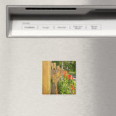 Holzzaun Magnet (In Situ (Geschirrspüler))