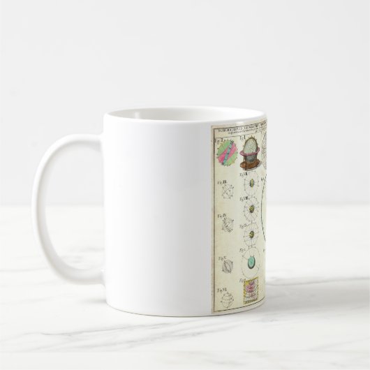 Homann ErbSonnensystem-Diagramm 1753 Kaffeetasse (Links)