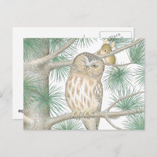 Home-Mouse-Designs® Postkarte (Vorne/Hinten)