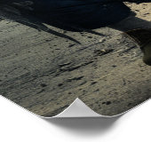 Homeless Trump Poster (Ecke)