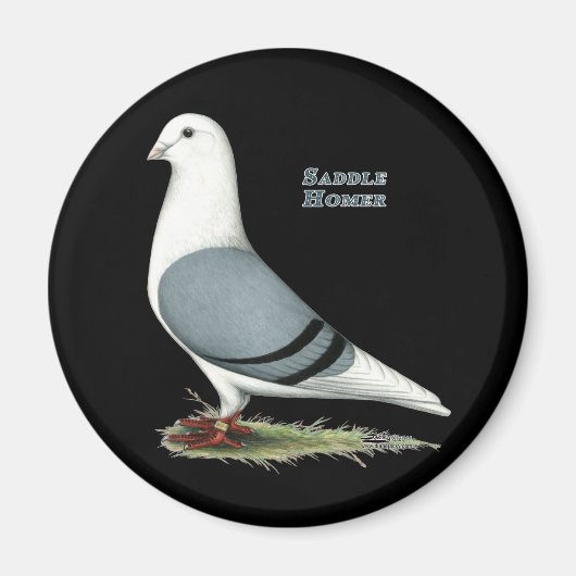 Homer Blue Saddle Magnet (Vorne)