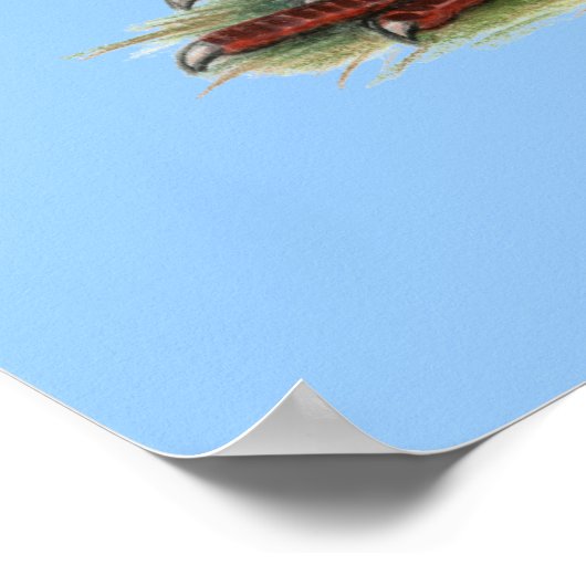 Homer Blue Saddle Poster (Ecke)