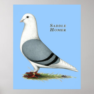 Homer Blue Saddle Poster