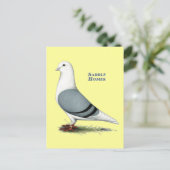 Homer Blue Saddle Postkarte (Stehend Vorderseite)