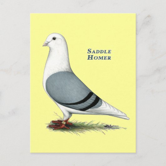 Homer Blue Saddle Postkarte (Vorderseite)