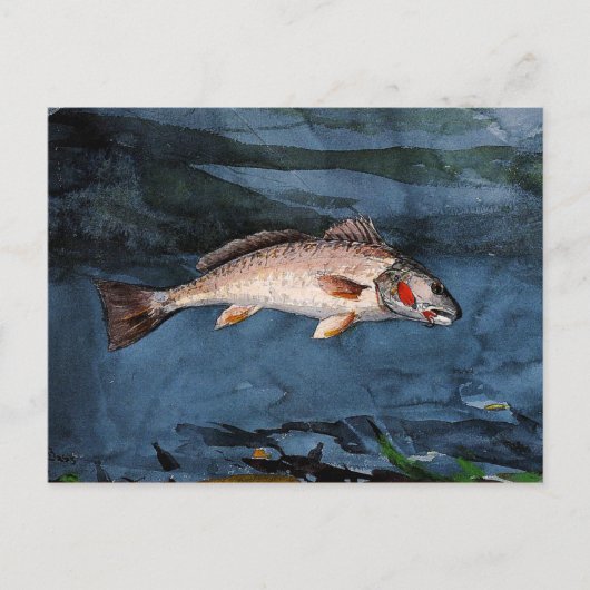 Homer - Channel Bass, Florida Postkarte (Vorderseite)