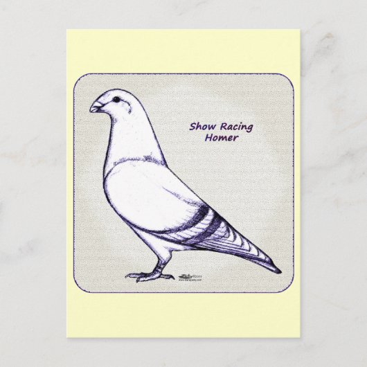 Homer Design Postkarte (Vorderseite)
