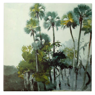 Homer - Fluss Homosassa Fliese