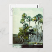 Homer - Fluss Homosassa Postkarte (Vorne/Hinten)