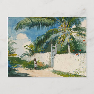 Homer Garten Nassau Vintage Tropisches Aquarell Postkarte