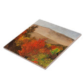 Homer - Herbstbauten Fliese (Seite)