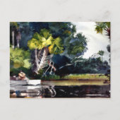 Homer - Homosassa Dschungel Postkarte (Vorderseite)