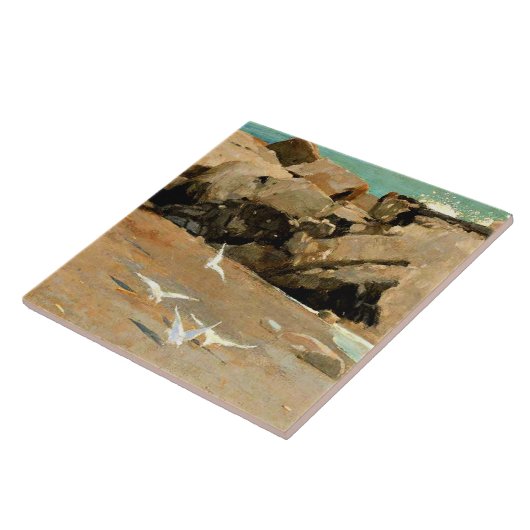 Homer - Rocky Coast and Gulls, fine art Fliese (Seite)